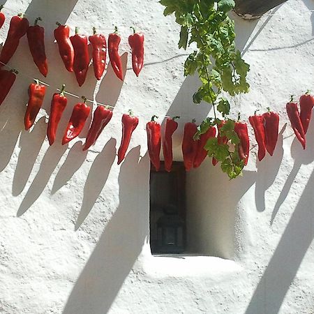 Hotel Rural Cortijo La Alberca Níjar Εξωτερικό φωτογραφία
