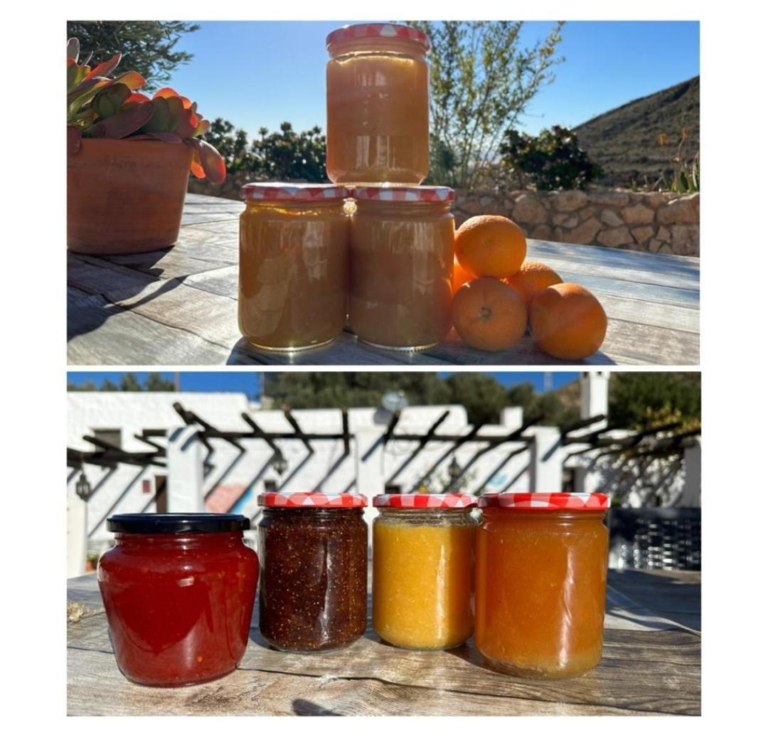 Hotel Rural Cortijo La Alberca Níjar Εξωτερικό φωτογραφία