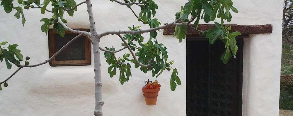 Hotel Rural Cortijo La Alberca Níjar Εξωτερικό φωτογραφία