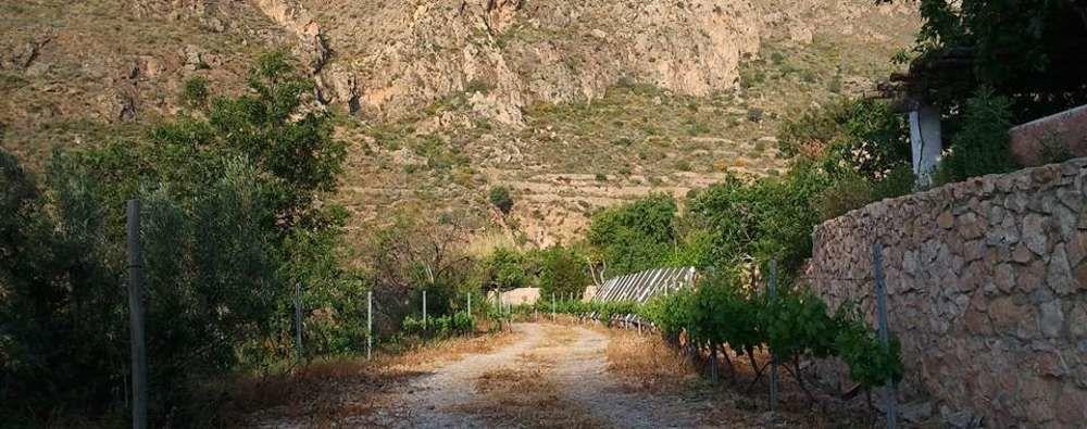 Hotel Rural Cortijo La Alberca Níjar Εξωτερικό φωτογραφία