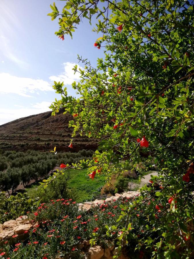 Hotel Rural Cortijo La Alberca Níjar Εξωτερικό φωτογραφία
