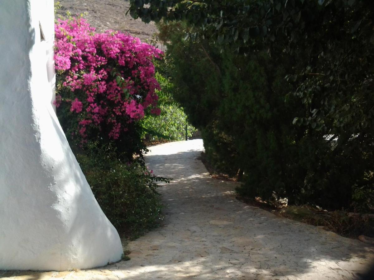 Hotel Rural Cortijo La Alberca Níjar Εξωτερικό φωτογραφία